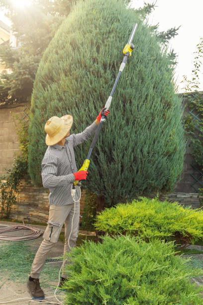 Best Commercial Tree Services  in Spinnerstown, PA